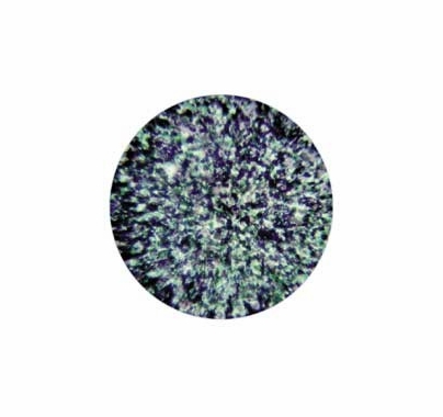 Rosco Green Blue Lavender Stippled Colorizer Glass Gobo Pattern B Size