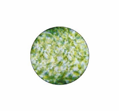 Rosco Green Yellow Featherlight Colorizer Glass Gobo Pattern B Size