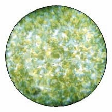 Rosco Green Yellow Stippled Colorizer Glass Gobo Pattern B Size 55008