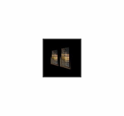 Rosco iPro Image Projector 120V