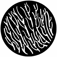 Rosco Kelp 78250 Standard Steel Gobo