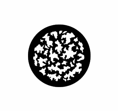 Rosco Leaf Breakup Large Steel Gobo 77806