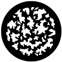 Rosco Leaf Breakup Large Steel Gobo 77806