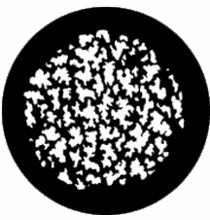 Rosco Leaf Breakup Medium Steel Gobo 77805