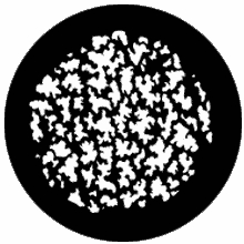 Rosco Leaf Breakup Medium Steel Gobo 77805