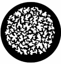 Rosco Leaf Breakup Small Steel Gobo 77119