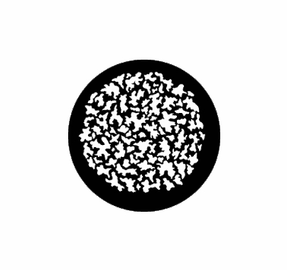 Rosco Leaf Breakup Small Steel Gobo 77119