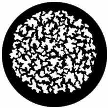 Rosco Leaf Breakup Small Steel Gobo 77119