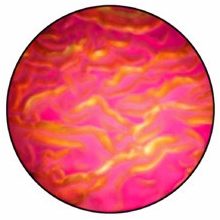 Rosco Magenta Ripple Color Wave Glass Gobo Pattern B Size 33103