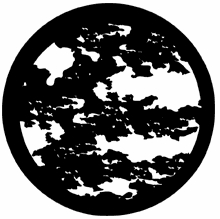 Rosco Moonlight Leaves 78222 Standard Steel Gobo