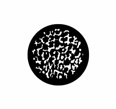 Rosco Ocelot Medium Standard Steel Gobo 77409