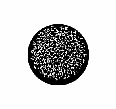 Rosco Ocelot Small Standard Steel Gobo 77408