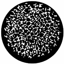 Rosco Ocelot Small Standard Steel Gobo 77408