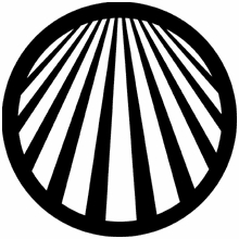 Rosco Perspective Lines 2 78047 Standard Steel Gobo