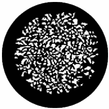 Rosco Realistic Leaves Standard Steel Gobo 77732