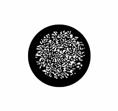 Rosco Realistic Leaves Standard Steel Gobo 77732