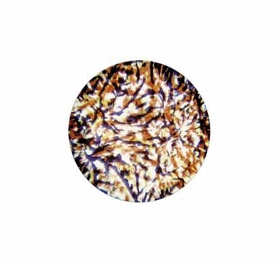 Rosco Red Lavender Yellow Featherlight Colorizer Glass Gobo Pattern B Size