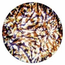 Rosco Red Lavender Yellow Featherlight Colorizer Glass Gobo Pattern B Size