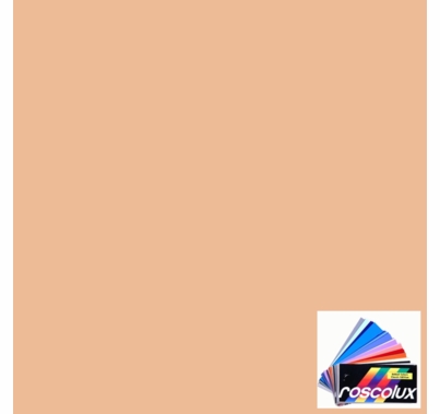 Rosco Roscolux 304 Pale Apricot Gel Filter Sheet