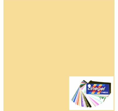 Rosco Roscosun 1/4 CTO 3409 Gel Sheet Quarter CTO