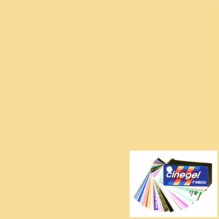 Rosco Roscosun 1/4 CTO 3409 Gel Sheet Quarter CTO