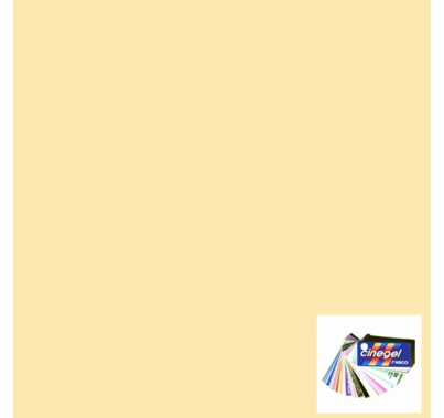 Rosco Roscosun 1/8 CTO 3410 Gel Sheet Eighth CTO