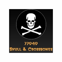Rosco Skull and Crossbones 77949 Standard Steel Gobo