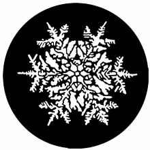 Rosco Snowflake Steel Gobo 77771