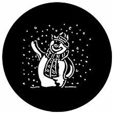 Rosco Snowman Steel Gobo 78018