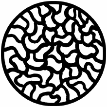 Rosco Squirms 78253 Standard Steel Gobo