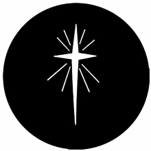 Rosco Star of Bethlehem Steel Gobo 77707