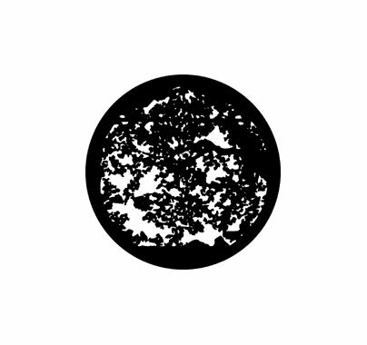 Rosco Summer Leaves Standard Steel Gobo 78217