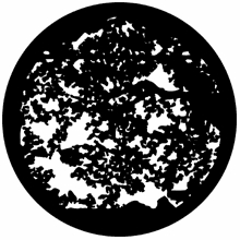 Rosco Summer Leaves Standard Steel Gobo 78217