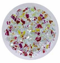 Rosco Sunset Prismatic Glass Gobo Pattern B Size 43804
