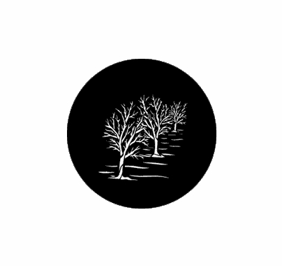 Rosco Three Trees 77744 Standard Steel Gobo