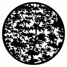 Rosco Tree 7 79118 Standard Steel Gobo