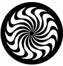 Rosco Whirl 77929 Standard Steel Gobo