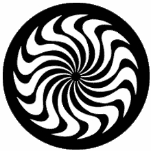 Rosco Whirl 77929 Standard Steel Gobo