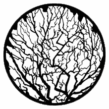 Rosco Winter Tree 2 Standard Steel Gobo 79119