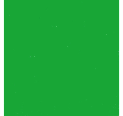 Studio Assets PXB Chroma Key Green Screen Fabric 8ft x 10ft