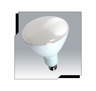 Ushio Uphoria 11W LED R30 Reflector Bulb 120V Warm White