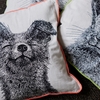 Finlayson Kettu Throw Pillow