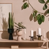 iittala Nappula Beige Short Plant Pot