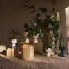 iittala Nappula Beige Short Plant Pot