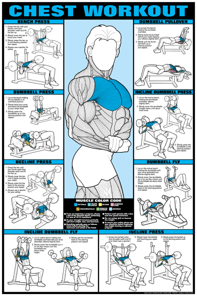 Dumbell Neck And Chest Exercises Back Superset Workout With