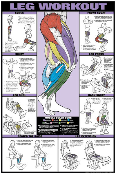 Lower Leg Different Leg Muscles And Exercises Bodyweight Exercises