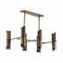15305 Denise Mcgaha Stockman Chandelier