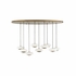 15307 Denise Mcgaha Collier Chandelier