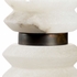 16133 Wildwood Sani Lamp