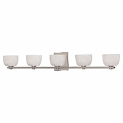 2665 Hudson Valley Cove Neck 5 Light Bath Bracket